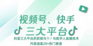 视频号、快手、抖音三大平台的剪辑与数字人直播技术，内容涵盖20+热门赛道-网创项目