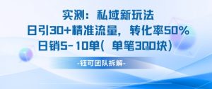 实测私域新玩法日引30加精准流量转化率50%日销5-10单每笔3张-网创项目