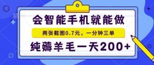 2025年零撸手机项目，二十秒一单，纯薅羊毛，一天200+做就有【揭秘】-网创项目