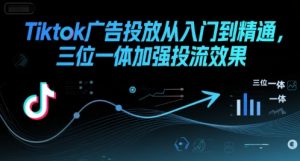 Tiktok广告投放从入门到精通,三位一体加强投流效果-网创项目