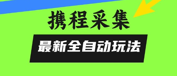 携程信息采集全自动玩法，0风控，无脑开干【揭秘】-网创项目