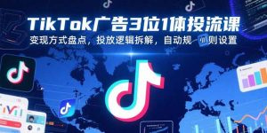 TikTok广告3位1体投流课,变现方式盘点,投放逻辑拆解,自动规则设置-网创项目