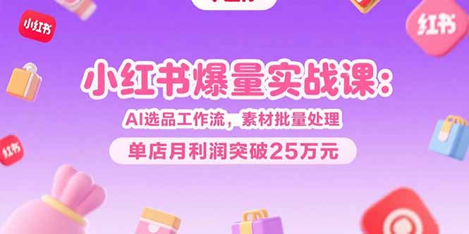 小红书爆量实战课：AI选品工作流，素材批量处理，单店月利润突破25万元-网创项目