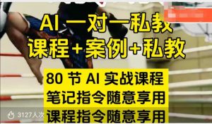 AI指令实战课，课程+案例，80节AI实战课程，笔记指令随意享用，课程指令随意享用(更新7月)-网创项目