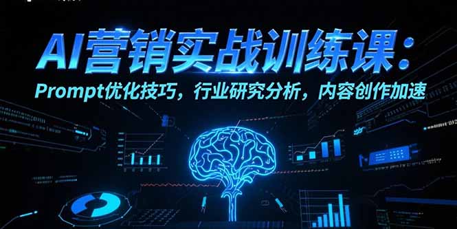 AI营销实战训练课：Prompt优化技巧，行业研究分析，内容创作加速-网创项目
