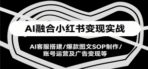 AI融合小红书变现实战课,AI客服搭建/爆款图文SOP制作/账号运营及广告变现等-网创项目