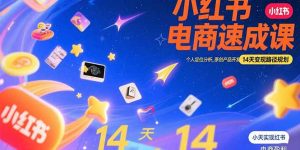 小红书虚拟电商速成课：个人定位分析，原创产品开发，14天变现路径规划-网创项目