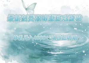 最新剑灵巅峰服游戏搬砖,项目红利期,单机稳定4000+操作简单好上手-网创项目