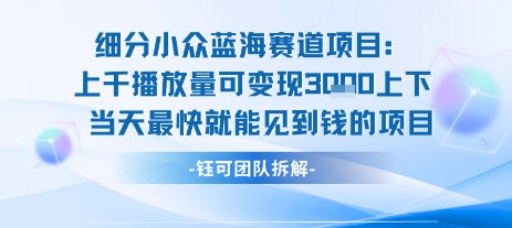 小众蓝海赛道项目：当天变现1k+适合新手操作 +适合长期玩-网创项目