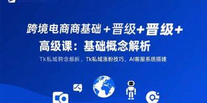 跨境电商基础+晋级+高级课:基础概念解析,Tk私域涨粉技巧,AI客服系统搭建-网创项目