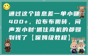 通过这个信息差一单小挣4张+,拉布布搬砖,闷声发小财抓住商机的都挣到钱了【保姆级教程】-网创项目