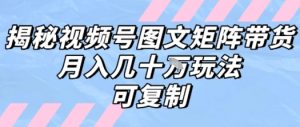 解密视频号图文矩阵带货，月入几个W的打法，可复制-网创项目