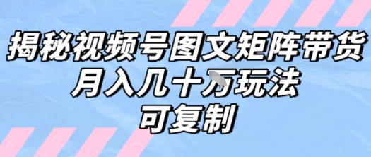 解密视频号图文矩阵带货，月入几个W的打法，可复制-网创项目