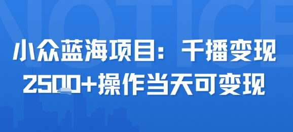 小众蓝海项目，千播变现2.5k+操作当天可变现-网创项目