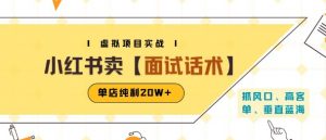 小红书虚拟项目掘金，卖面试话术资料，单店纯利20W+(附爆款笔记制作方法)-网创项目