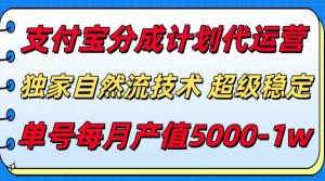 支付宝分成计划代运营，独家自然流技术，收益稳定，单号月产5000＋-网创项目