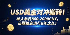 USD美金对冲搬砖!单人单日800-2000CNY，长期稳定运行8年之久!-网创项目