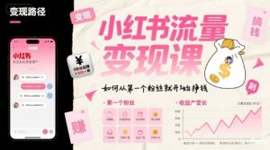 小红书流量变现课，如何从第一个粉丝就开始挣钱-网创项目