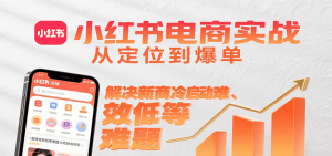 小红书电商实战,从定位到爆单解决新商冷启动难、变现效率低等难题-网创项目
