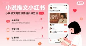 小说推文小红书高转化引导方法实操课，小说推文高效且正确引导方法-网创项目