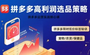 拼多多选品暴利技术实战课,拼多多高利润选品策略,拼多多限时低价标签秘诀-网创项目