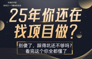 25年，你还在疯狂的找项目吗？别傻了，看完这个你都懂了【揭秘】-网创项目