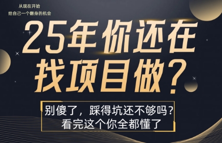 25年，你还在疯狂的找项目吗？别傻了，看完这个你都懂了【揭秘】-网创项目