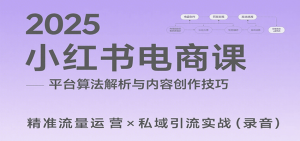 2025小红书电商课:解析算法,创作高转化内容,助力卖家获取流量实现变现(录音)-网创项目