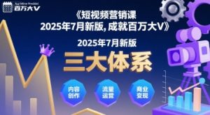 短视频营销课2025年7月新版，三大体系成就百万大V-网创项目