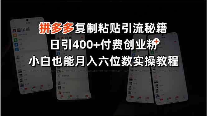 拼多多复制粘贴引流秘籍，日引400+付费创业粉，小白也能月入六位数实操…-网创项目
