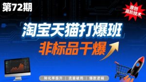 淘宝天猫打爆班原创高阶技术第72期,非标品干爆-网创项目