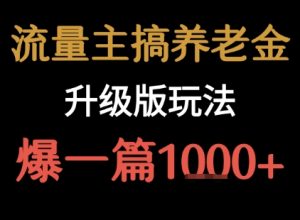 流量主之养老金升级版玩法 爆一篇收益1k+-网创项目