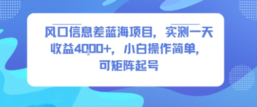 风口信息差蓝海项目，实测一天收益4k+，小白操作简单，可矩阵起号-网创项目