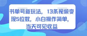 书单号新玩法，13条视频变现5位数，小白操作简单，当天可见收益-网创项目