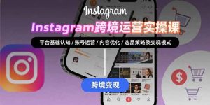 Instagram跨境运营实战：平台认知/账号运营/内容优化/选品策略及变现模式-网创项目