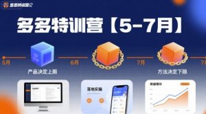 多多特训营【5-7月】产品决定上限,方法决定下限,各种玩法技巧落地实操-网创项目