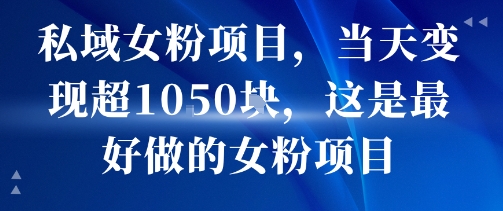 私域女粉项目，当天变现超1k，这是最好做的女粉项目，可放大操作-网创项目