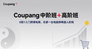 Coupang中阶班+高阶班，0到1入门跨境电商，在家一台电脑挣韩国人的钱-网创项目