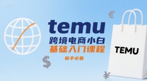 temu跨境电商小白基础入门课程，新手必看-网创项目
