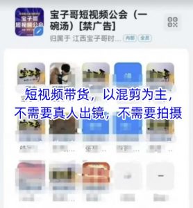 宝子哥头部团队短视频带货,以混剪为主,不需要真人出镜,不需要拍摄【更新8月】-网创项目