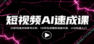 短视频AI速成课，找对标/定选题/拆结构/写文案等，小白快速上手解锁多样创作技能-网创项目