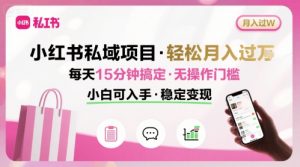 小红书私域项目 月入过W非常轻松 每天15分钟即可搞定，无任何操作门槛，小白可入手-网创项目