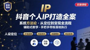 抖音个人IP系统落地实操大课，实操课程，辅助落地-网创项目