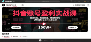 抖音账号盈利实战课，定位对标、标签打造、破播放技巧，讲涨粉变现与场景搭建-网创项目