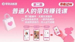 小红书带货第二期训练营，普通人月收过W的带货课，时间自由，零门槛无压货，一部手机即可操作-网创项目