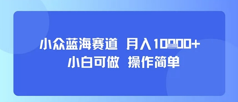 小众蓝海赛道，小白可做，操作简单，每天30分钟，月入1W+-网创项目
