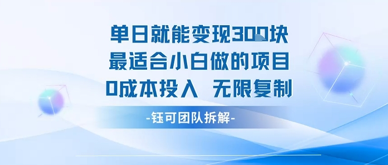 单日就能变现3张最适合小白做的项目0成本投入 无限复制-网创项目