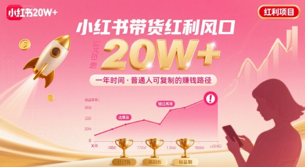 一年时间靠小红书带货项目年入20w+，最不能错的大红利项目-网创项目