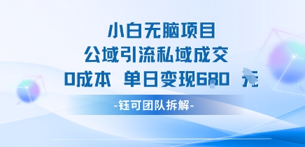 小白无脑项目公域引流私域成交0成本单日变现680米-网创项目
