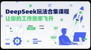 DeepSeek玩法合集课程，让你的工作效率飞升-网创项目